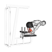 Inverse Leg Curl Bench Support demonstration animation