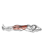 Jackknife Sit Up demonstration animation