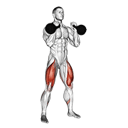 Kettlebell Front Squat demonstration animation