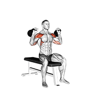 Kettlebell Seated Two Arm Military Press demonstration animation