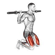 Kneeling Jump Squat demonstration animation