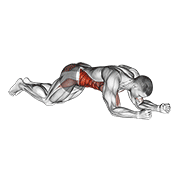Kneeling Plank Tap Shoulder demonstration animation