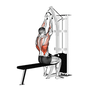 Lat Pulldown demonstration animation