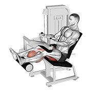 Leg Curl demonstration animation