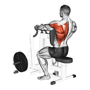 Lever Alternating Narrow Grip Seated Row demonstration animation