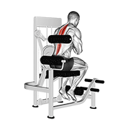 Lever Back Extension demonstration animation