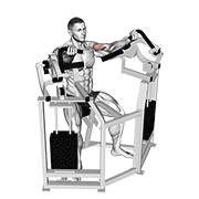 Lever Bicep Curl demonstration animation