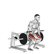 Lever Deadlift demonstration animation