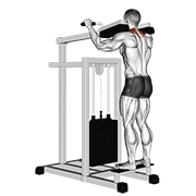 Lever Gripless Shrug demonstration animation