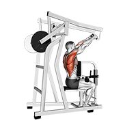 Lever High Row demonstration animation