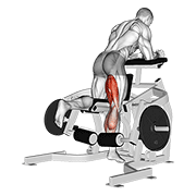 Lever Kneeling Leg Curl demonstration animation