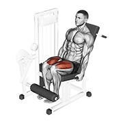 Lever Leg Extension demonstration animation