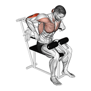 Lever Overhand Triceps Dip demonstration animation