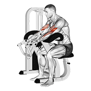 Lever Preacher Curl V2 demonstration animation