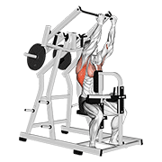 Lever Reverse Grip Lateral Pulldown demonstration animation