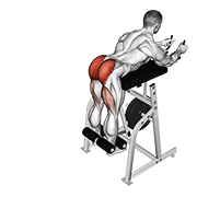 Lever Reverse Hyperextension demonstration animation