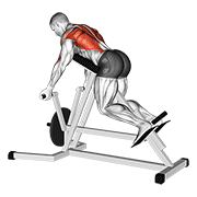 Lever Reverse T Bar Row demonstration animation