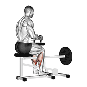 Lever Seated Calf Raise demonstration animation