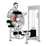 Lever Seated Crunch Chest Pad demonstration animation