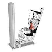 Lever Seated Crunch V2 demonstration animation