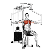 Lever Seated Fly demonstration animation