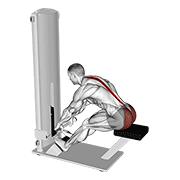 Lever Seated Good Morning demonstration animation