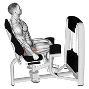 Lever Seated Hip Abduction demonstration animation