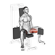 Lever Seated Hip Adduction demonstration animation