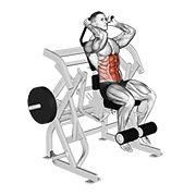 Lever Seated Leg Raise Crunch demonstration animation