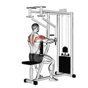 Lever Seated Reverse Fly Parallel Grip demonstration animation
