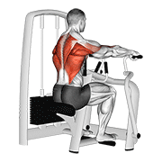Lever Seated Row demonstration animation