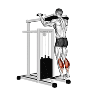 Lever Standing Calf Raise demonstration animation