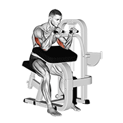 Lever Triceps Extension demonstration animation