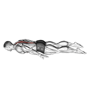 Lower Back Curl demonstration animation