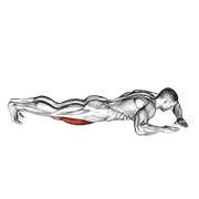 Lying Side Quads Stretch demonstration animation