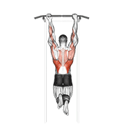 Mixed Grip Chin Up demonstration animation