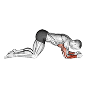 Modified Push Up To Lower Arms demonstration animation