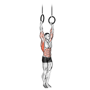 Muscle Up demonstration animation