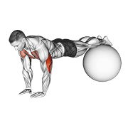 Narrow Push Up On Exercise Ball demonstration animation