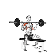 Overhead Press demonstration animation
