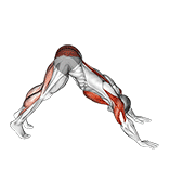 Pike To Cobra Push Up demonstration animation