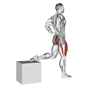 Pistol Squat demonstration animation