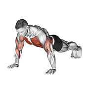 Plank Shoulder Tap demonstration animation
