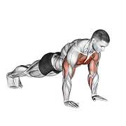 Plyo Pushup demonstration animation