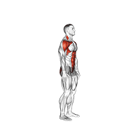 Posterior Step To Overhead Reach demonstration animation