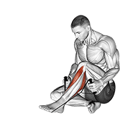 Posterior Tibialis Stretch demonstration animation