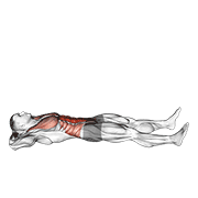 Prisoner Half Sit Up demonstration animation