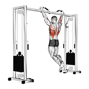 Pull Up Neutral Grip demonstration animation
