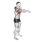 Push And Pull Bodyweight demonstration animation