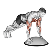 Push Up On Bosu Ball demonstration animation